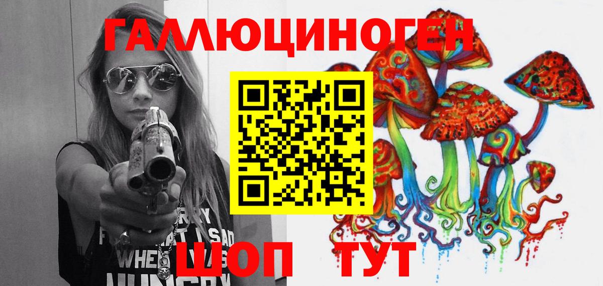Галлюциногенные грибы Psilocybine cubensis Лениногорск